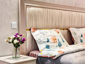 Luchshie Apartamenty Almaty Naprotiv Trts Mega Almaty 63 Flat