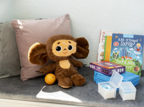 Апартаменты на Плещеева 8