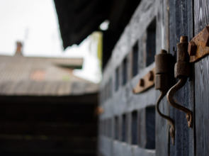 Гостевой Дом Конь в Пальто Музей и Постой