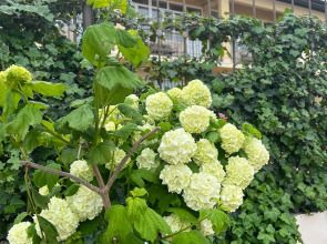 Гостевой дом Лазурный берег