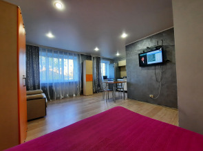 Апартаменты RadishevaPark