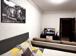 Апартаменты однокомнатные мкр Супонево к10