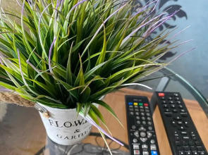 Апартаменты напротив ТРЦ Рубин