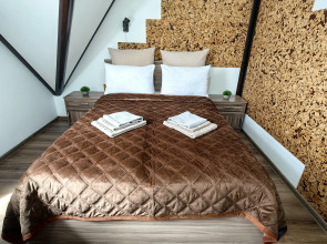 Апартаменты 10 Хоум Раушен в Светлогорске