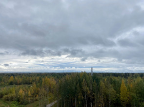 Квартира Студия Зеленая в Песочном