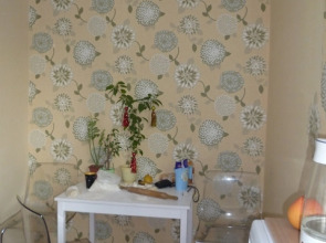 Мини-Отель Академия Уюта