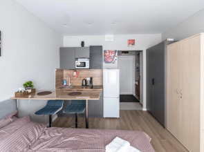 Апартаменты Студия на Каштановой