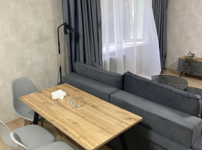 Квартира студия в центре города 50 оттенков серого