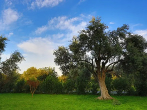 Отель The Ship Inn