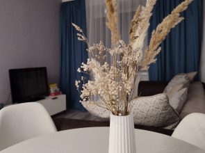 Uyutnye V Plese Apartments