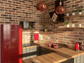 Apartamenty v stile Loft v centre goroda 811