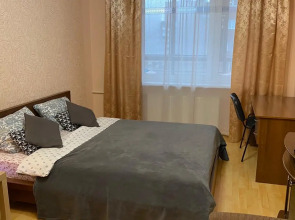 Апартаменты Однокомнатная квартира 71 Онегоhome у озера в Петрозаводске