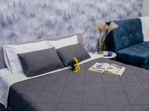 Апартаменты Альфа Хоум Плюс В центре Челябинска