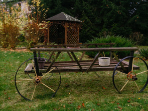 Апартаменты Life for Funny Rauschen