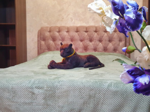 Апартаменты "Багира" рядом Протон-Арена, бассейн ДВВС, СКАД, въезд в город, Р228