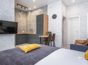 Апартаменты Лофт в ЖК Эрмитаж (Горсовет, Планета)