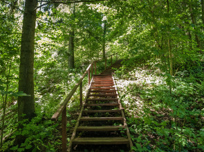 Отель Тучково СПА