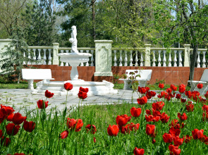 База Отдыха Светлая