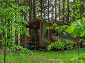 Pikhta #1 Private house