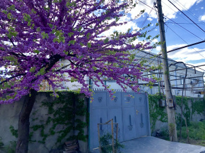 Vazi Guest House
