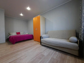 Апартаменты RadishevaPark