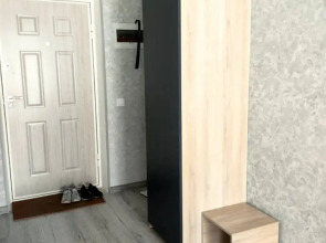 Апартаменты студия в центре от ЭлитХаус24