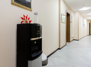 Гостиница Домашняя гостиница Подушка