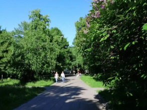 Апартаменты SiberiaLife на Ленина81