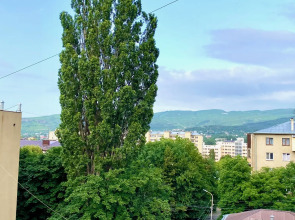 Квартира Уютная квартира на Губина