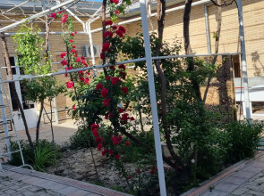 Хостел Muborak