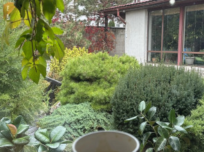 Отель Гэтсби