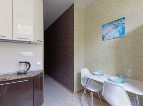 Квартира двухкомнатная Stepanenkov в центре на Маслякова 9