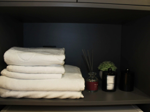 Апартаменты Бизнес-класса у ТЦ "Премьер"