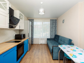 Апартаменты СКомфортом Космонавта Поповича 11