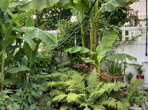 Гостевой дом Casa de la Luz