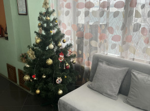 Мини-отель Наутилус 57