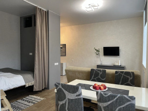 Апартаменты Студия у Кинотеатра Спартак