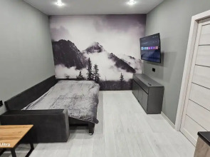 Квартира Олимпийская 87