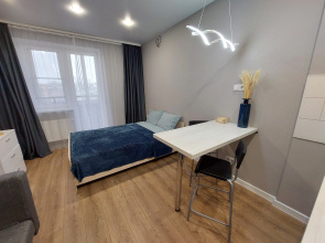 Апартаменты СВ Жираф 2