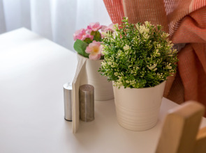 Апартаменты Гости Любят у метро Римская