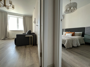 Апартаменты Евро 2-ком Логинова 7/2-488