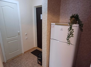 Апартаменты Чайка House Бурнаковская 77