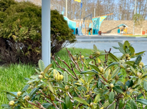 Апартаменты У моря