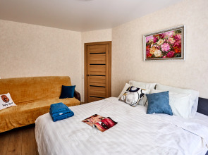 Квартира Толстой Жукова