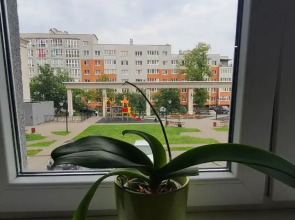 Квартира у королевских ворот