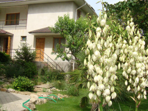 Гостевой Дом Солнечная Ривьера