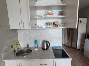 Апартаменты Golden Horn Central