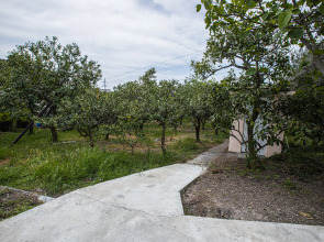 Частный Дом с мандариновым садом