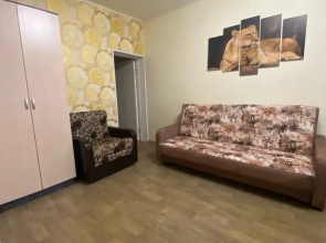 Uyutnaya Kvartira V Tsentre Goroda Apartments