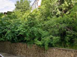 Апартаменты Фамилия Элит 7